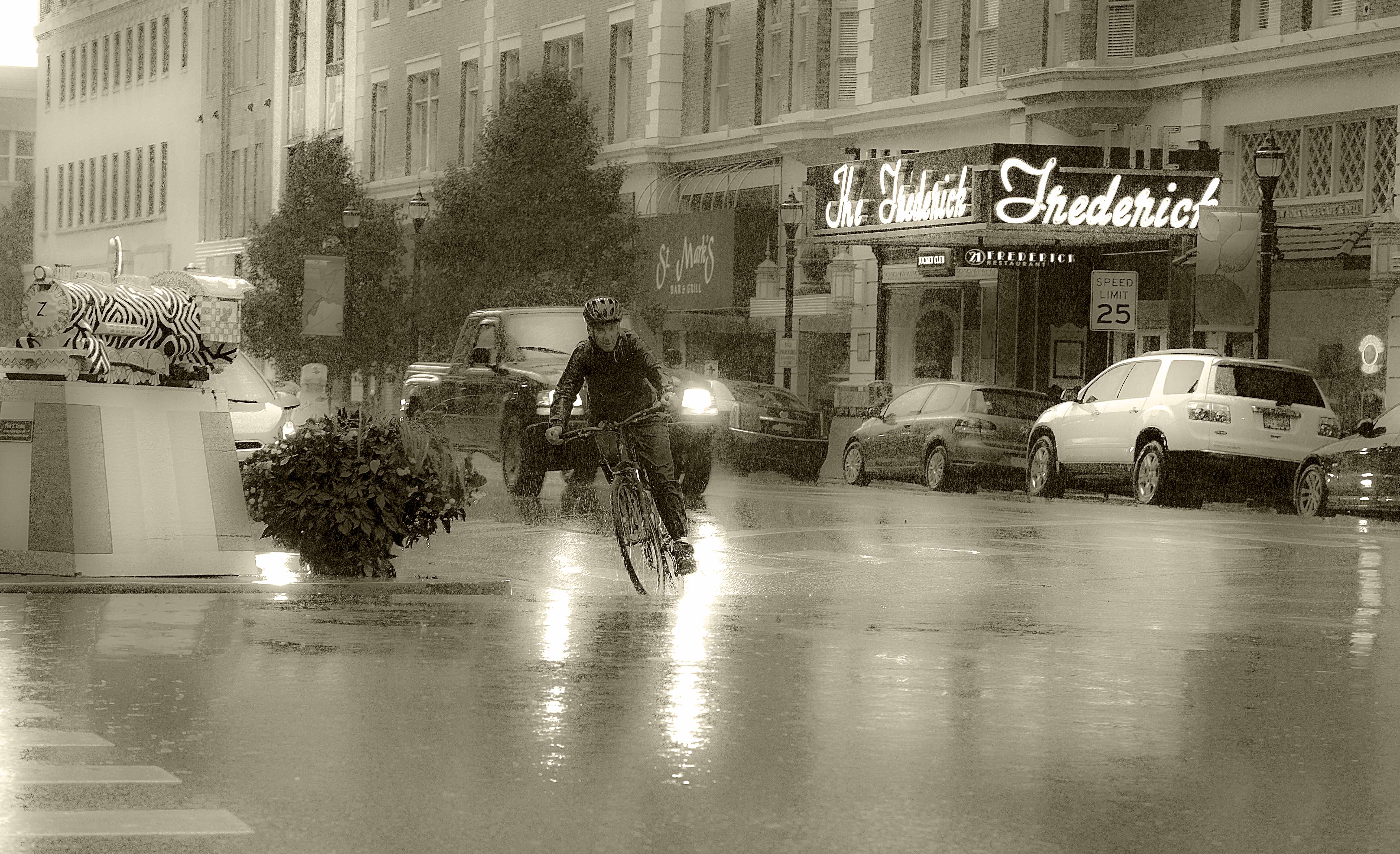 caught-in-the-rain-shutterbug